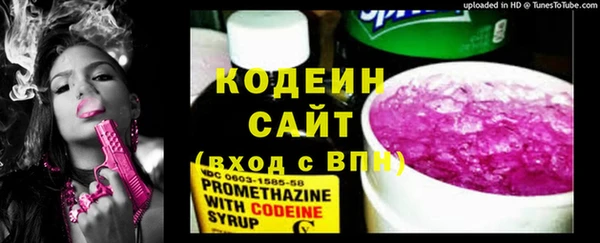 прущий лед Арсеньев