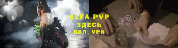 Альфа ПВП Ростов