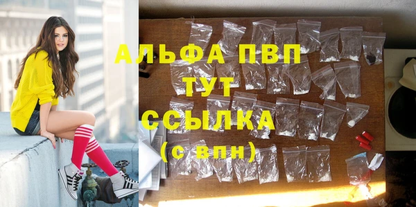 прущий лед Арсеньев
