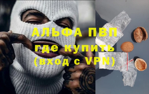 Альфа ПВП Аркадак