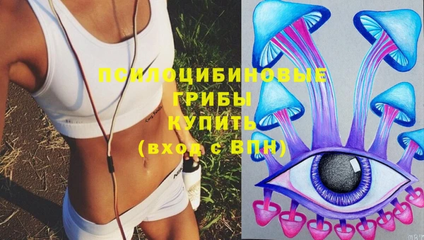 Альфа ПВП Аркадак