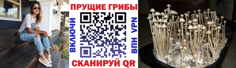 Галлюциногенные грибы MAGIC MUSHROOMS  Лаишево 